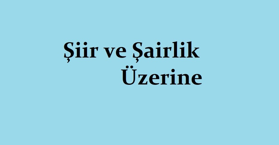 Şiir ve Şairlik Üzerine - Ahmed Necip YILDIRIM